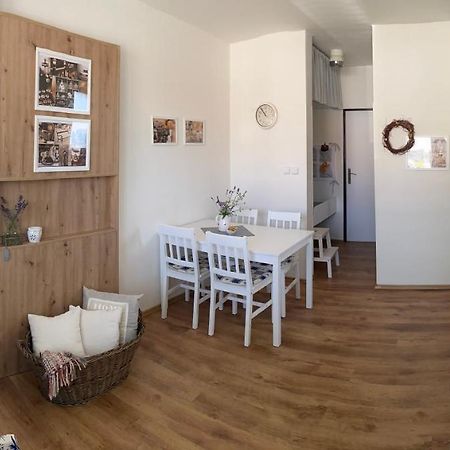 Apartman V Brezi 外观 照片