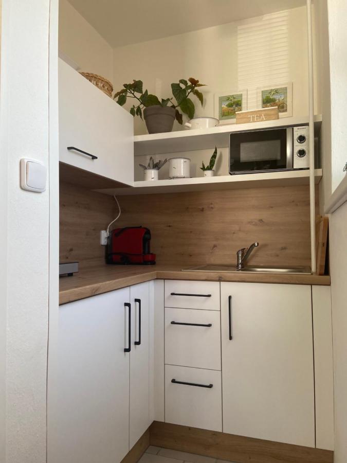 Apartman V Brezi 外观 照片