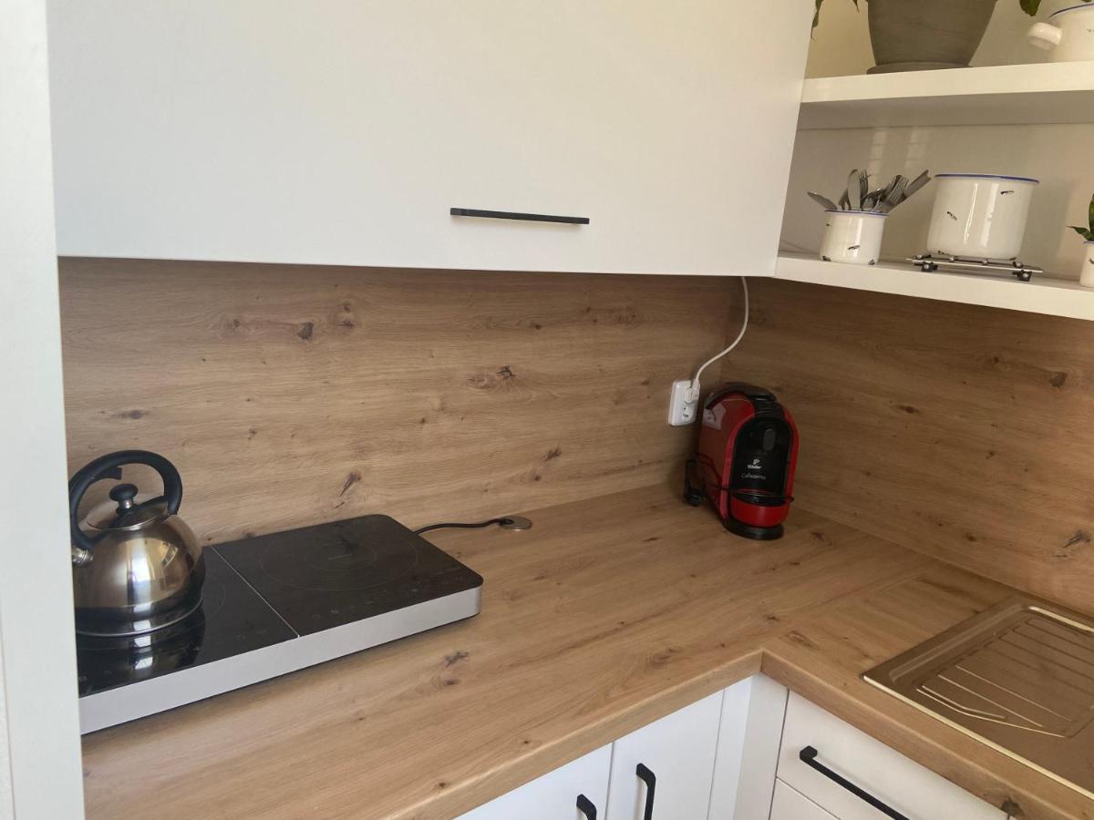 Apartman V Brezi 外观 照片