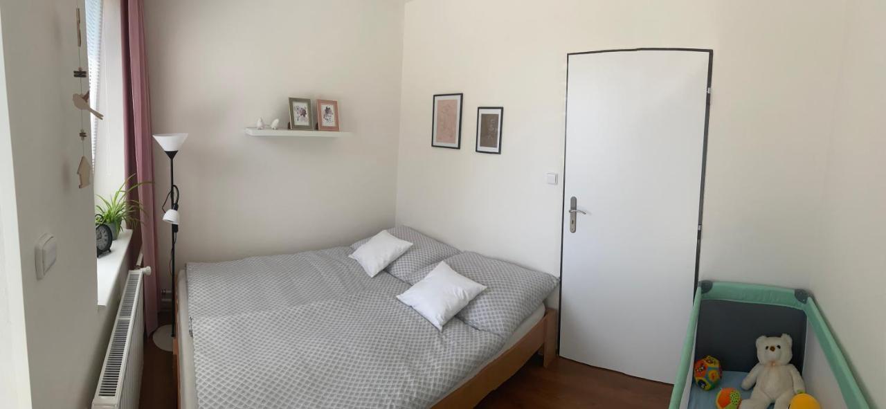 Apartman V Brezi 外观 照片