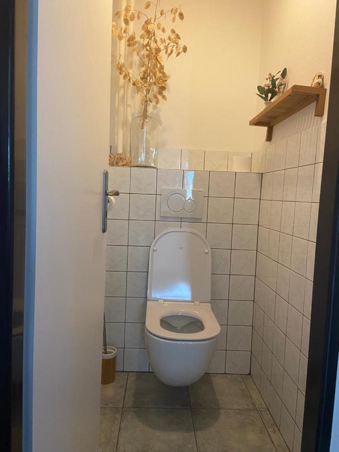 Apartman V Brezi 外观 照片